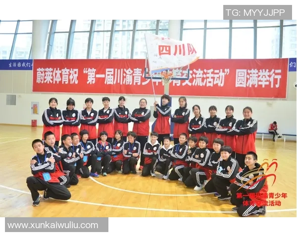 武汉飞盘队团队协作深度解析与其他队伍的对比研究